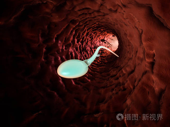 手机精子游戏下载_手机精子游戏下载_手机精子游戏下载