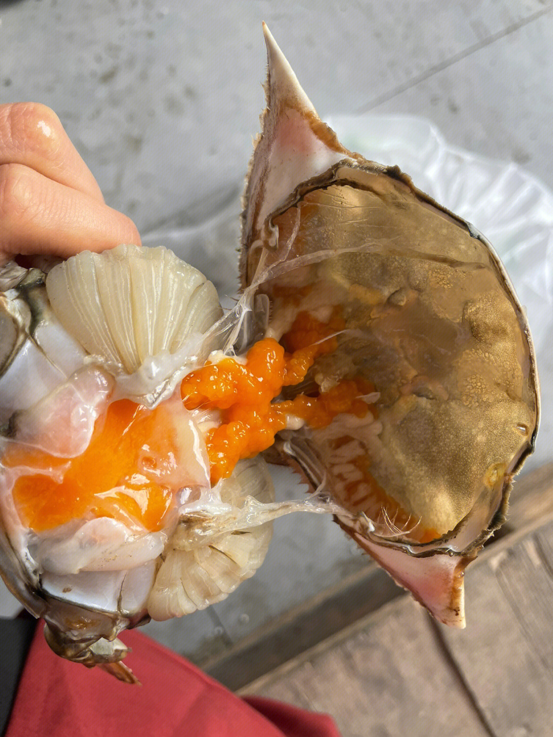 海底猎杀手游版_海底猎杀海_海底大猎杀crab madness是什么模式