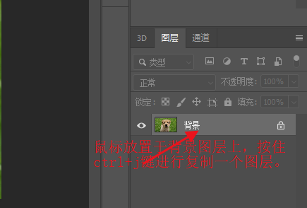 套索工具怎么用_套索工具适用范围_套索工具用法