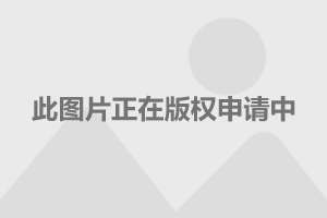 苹果图文识别文字转换_识别苹果文字转图片的软件_苹果识别图片转文字