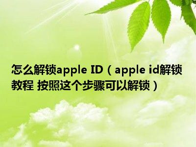 账号注册登录_apple账号注册_账号注册登录立即注册