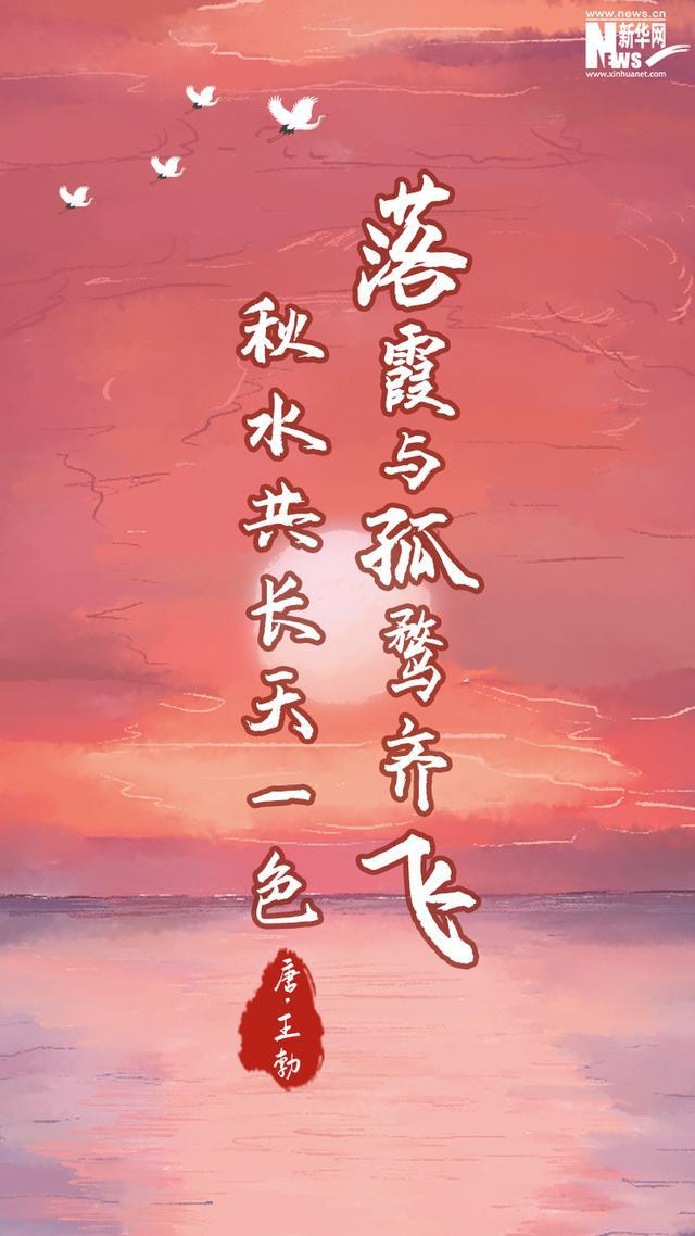 穿越历史长河：感悟古人生活与坚韧精神的纪录片观后感