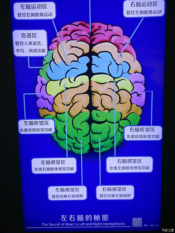 TWS1 耳机罢工？别慌！跟随我的奇妙旅程重新配对