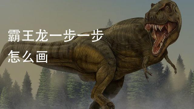 中文字号怎么填写_字号填写中文怎么弄_字号填写中文还是英文