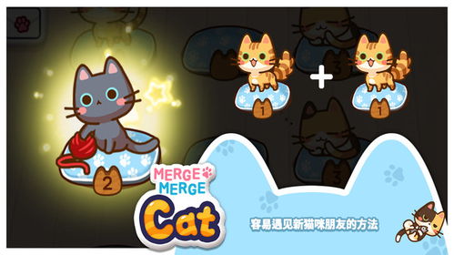 猫咪合成游戏,猫咪合成游戏的奇幻冒险之旅