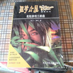 危险游戏txt,揭秘人性深渊的惊悚之旅